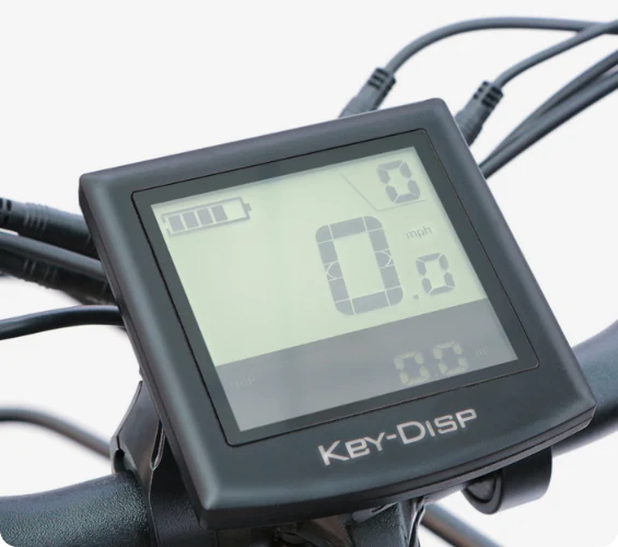 LCD screen with Controller for Electric Bike