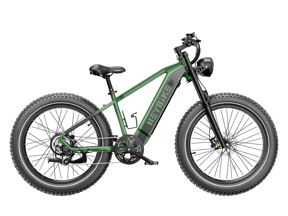 Brawn | TUV Safety Certified Battery |  Dual Crown Fork | Hydraulic Brakes