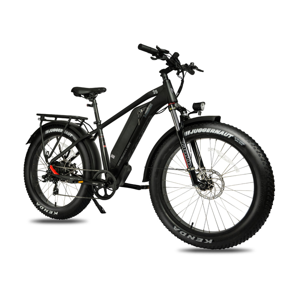 Electric bike | Off road | Long range | Pegasus